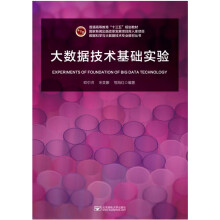 《大数据技术基础实验》[51M]百度网盘|pdf下载|亲测有效