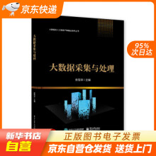 《大数据采集与处理张雪萍著籍》[63M]百度网盘|pdf下载|亲测有效