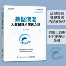 《数据浪潮：大数据技术演进之路数据管理系统发展数据时代书籍吴垚著异步出品》[55M]百度网盘|pdf下载|亲测有效