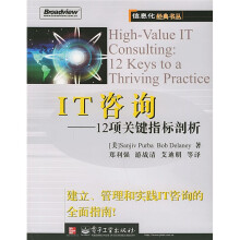 《IT咨询：项关键指标剖析》[64M]百度网盘|pdf下载|亲测有效
