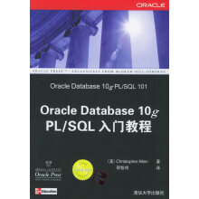 《OracleDatabase　gPLSQL入门教程》[57M]百度网盘|pdf下载|亲测有效