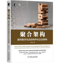 《聚合架构面向数字生态的构件化企业架构付晓岩著机械工业》[86M]百度网盘|pdf下载|亲测有效