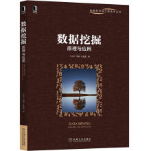 《J数据挖掘：原理与应用》[51M]百度网盘|pdf下载|亲测有效