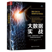 《大数据实战:大数据.数据科学和人工智能在商务决策中的应用计算机与互联网》[98M]百度网盘|pdf下载|亲测有效