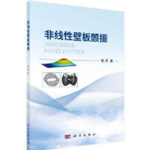 《非线性壁板颤振谢丹著科学》[85M]百度网盘|pdf下载|亲测有效