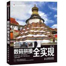 《数码拼接全实现》[88M]百度网盘|pdf下载|亲测有效