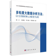 《多粒度大数据分析方法：以引领树和云模型为例》[75M]百度网盘|pdf下载|亲测有效