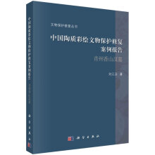 《中国陶质彩绘文物保护修复案例报告——青州香山汉墓》[81M]百度网盘|pdf下载|亲测有效