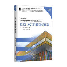 《DB2SQL性能调优秘笈》[52M]百度网盘|pdf下载|亲测有效