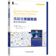 《高能效类脑智能：算法与体系架构》[64M]百度网盘|pdf下载|亲测有效
