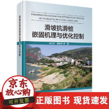 《滑坡抗滑桩嵌固机理与优化控制》[85M]百度网盘|pdf下载|亲测有效