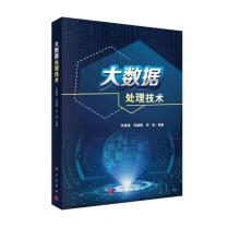 《大数据处理技术》[41M]百度网盘|pdf下载|亲测有效