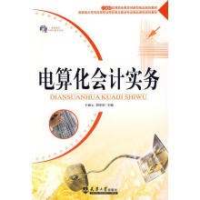 《电算化会计实务王丽云,胡章田　主编天津》[43M]百度网盘|pdf下载|亲测有效