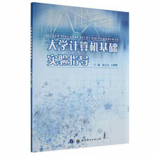 《生计算机基础实验指导》[77M]百度网盘|pdf下载|亲测有效