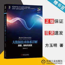《大数据技术体系详解原理架构与实践董西成机械工业大数据技术丛书》[60M]百度网盘|pdf下载|亲测有效