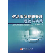 《信息资源战略管理理论与实践》[85M]百度网盘|pdf下载|亲测有效
