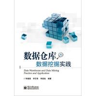 《数据仓库与数据挖掘实践》[42M]百度网盘|pdf下载|亲测有效