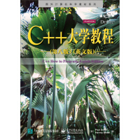 《C++大学教程（第八版 英文版）》[75M]百度网盘|pdf下载|亲测有效