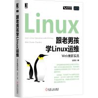 《跟老男孩学Linux运维：Web集群实战》[69M]百度网盘|pdf下载|亲测有效