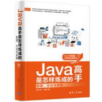 《Java高手是怎样炼成的:原理.方法与实践》[40M]百度网盘|pdf下载|亲测有效