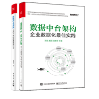 《【全2册】数据中台实战手把手教你搭建数据中台数据中台架构企业数据化佳实践张旭戴丽訚赛华企业数据化建》[76M]百度网盘|pdf下载|亲测有效