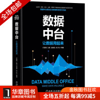《[包邮现货] 数据中台:让数据用起来 付登坡 江敏 任寅姿 孙少忆|8065615》[58M]百度网盘|pdf下载|亲测有效