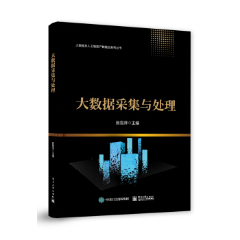 《大数据采集与处理》[48M]百度网盘|pdf下载|亲测有效