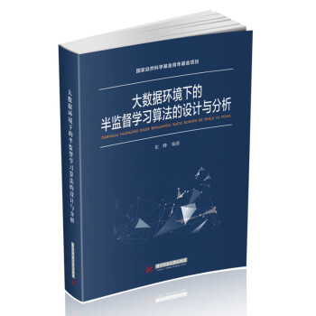 《大数据环境下的半监督学习算法的设计与分析》[47M]百度网盘|pdf下载|亲测有效