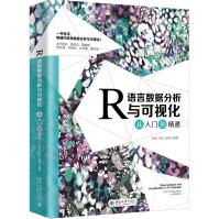 《R语言数据分析与可视化从入门到精通》[85M]百度网盘|pdf下载|亲测有效