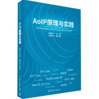 《AoIP原理与实践》[66M]百度网盘|pdf下载|亲测有效
