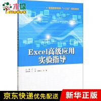 《Excel高级应用实验指导》[48M]百度网盘|pdf下载|亲测有效