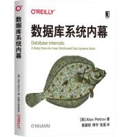 《数据库系统内幕亚历克斯·彼得罗夫机械工业》[74M]百度网盘|pdf下载|亲测有效