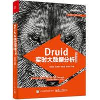 《Druid实时大数据分析原理与实践欧阳辰》[59M]百度网盘|pdf下载|亲测有效