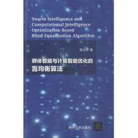 《群体智能与计算智能优化的盲均衡算法》[88M]百度网盘|pdf下载|亲测有效