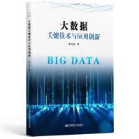 《大数据关键技术与应用创新》[85M]百度网盘|pdf下载|亲测有效