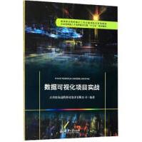 《满数据可视化项目实战天津天津滨海迅腾科技集团有限公》[46M]百度网盘|pdf下载|亲测有效