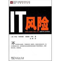《IT风险》[68M]百度网盘|pdf下载|亲测有效