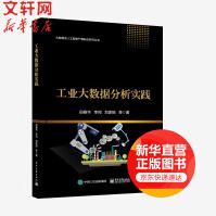 《工业大数据分析实践田春华著大数据及人工智能产教融合系列丛书网络应用》[56M]百度网盘|pdf下载|亲测有效