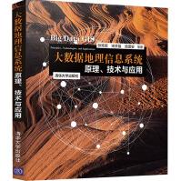 《大数据地理信息系统原理、技术与应用》[92M]百度网盘|pdf下载|亲测有效