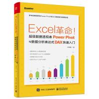 《Excel革命！超级数据透视表PowerPivot与数据分析表达式DAX快速入门》[81M]百度网盘|pdf下载|亲测有效