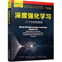 《深度强化学习：入门与实践指南深度强化学习从原理到算法全面探索掌握构建智能体聊天机器人实》[80M]百度网盘|pdf下载|亲测有效