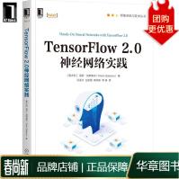 《TensorFlow2.0神经网络实践》[49M]百度网盘|pdf下载|亲测有效