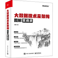 《大数据技术及架构图解实战派》[89M]百度网盘|pdf下载|亲测有效