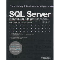 《SQLServer数据挖掘与商业智能基础及案例实战》[54M]百度网盘|pdf下载|亲测有效