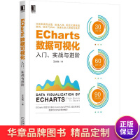《ECharts数据可视化:入门、实战与进阶王大伟》[43M]百度网盘|pdf下载|亲测有效