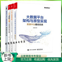 《大数据平台架构与原型实现》[57M]百度网盘|亲测有效|pdf下载