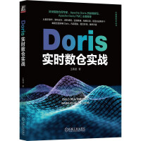 Doris实时数仓实战pdf下载pdf下载