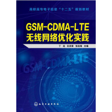 《GSM-CDMA-LTE无线网络优化实践丁远,花苏荣,张远海》[23M]百度网盘|亲测有效|pdf下载