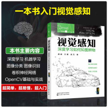 《人工智能超入门丛书--视觉感知：深度学习如何知图辨物》[36M]百度网盘|亲测有效|pdf下载
