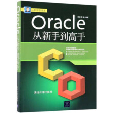 :Oracle从新手到高手杨继萍等 pdf下载pdf下载